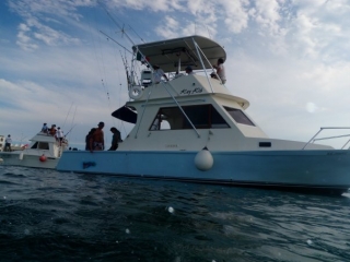  lenze da pesca 